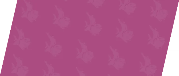 JEFF THE LAND SHARK - JEFF RODEO Background