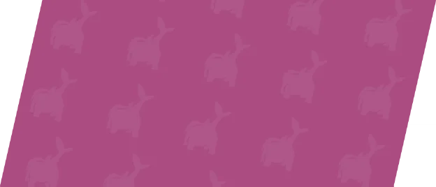 BOOGIE TIME! Background